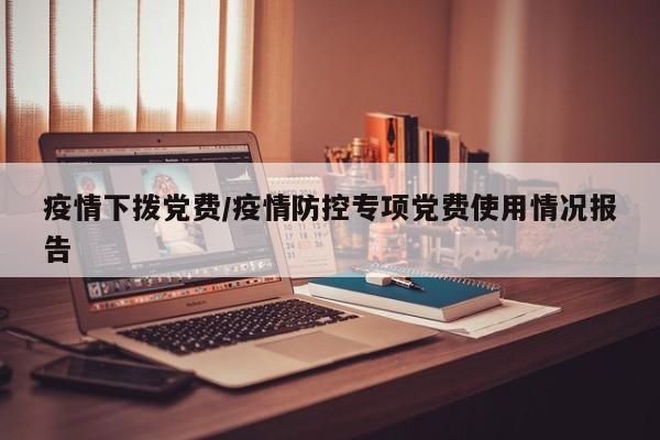 疫情下拨党费/疫情防控专项党费使用情况报告