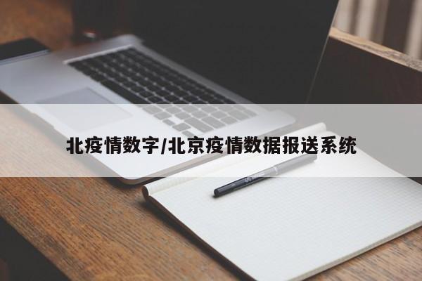 北疫情数字/北京疫情数据报送系统