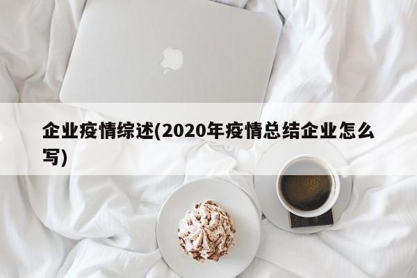 企业疫情综述(2020年疫情总结企业怎么写)