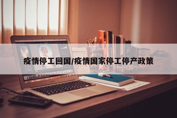 疫情停工回国/疫情国家停工停产政策