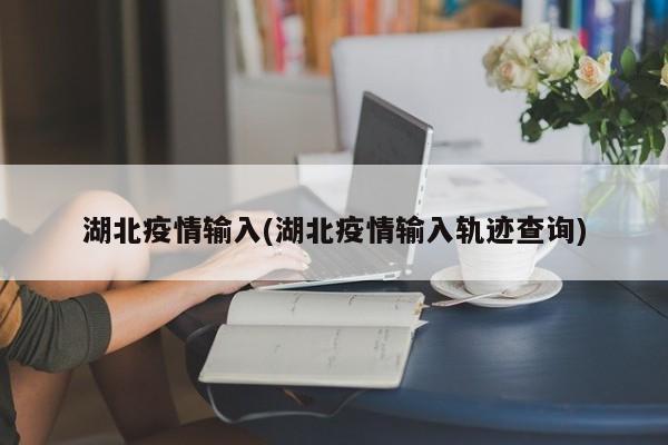 湖北疫情输入(湖北疫情输入轨迹查询)