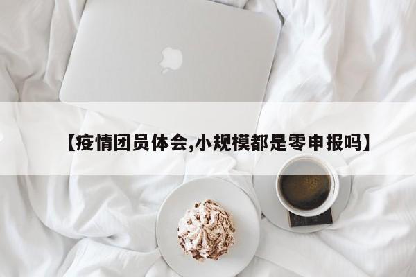 【疫情团员体会,小规模都是零申报吗】