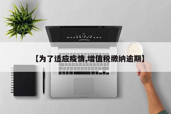 【为了适应疫情,增值税缴纳逾期】