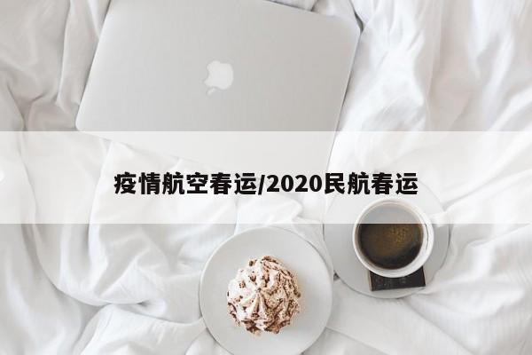 疫情航空春运/2020民航春运