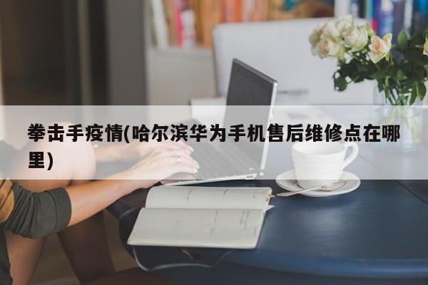 拳击手疫情(哈尔滨华为手机售后维修点在哪里)