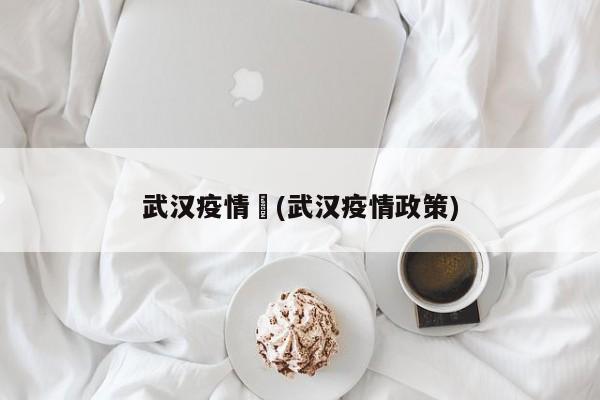 武汉疫情劵(武汉疫情政策)