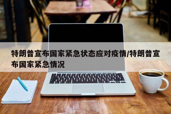 特朗普宣布国家紧急状态应对疫情/特朗普宣布国家紧急情况