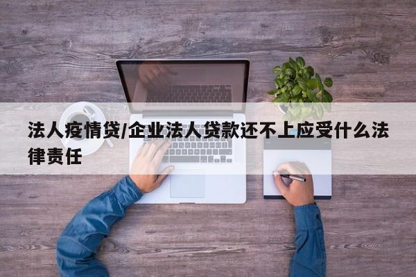 法人疫情贷/企业法人贷款还不上应受什么法律责任