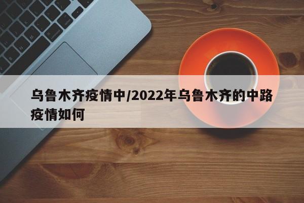 乌鲁木齐疫情中/2022年乌鲁木齐的中路疫情如何