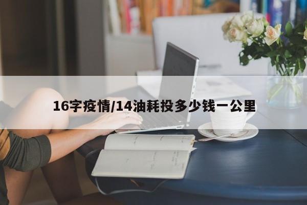 16字疫情/14油耗投多少钱一公里